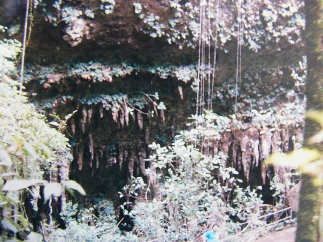 Rio Camuy Caves